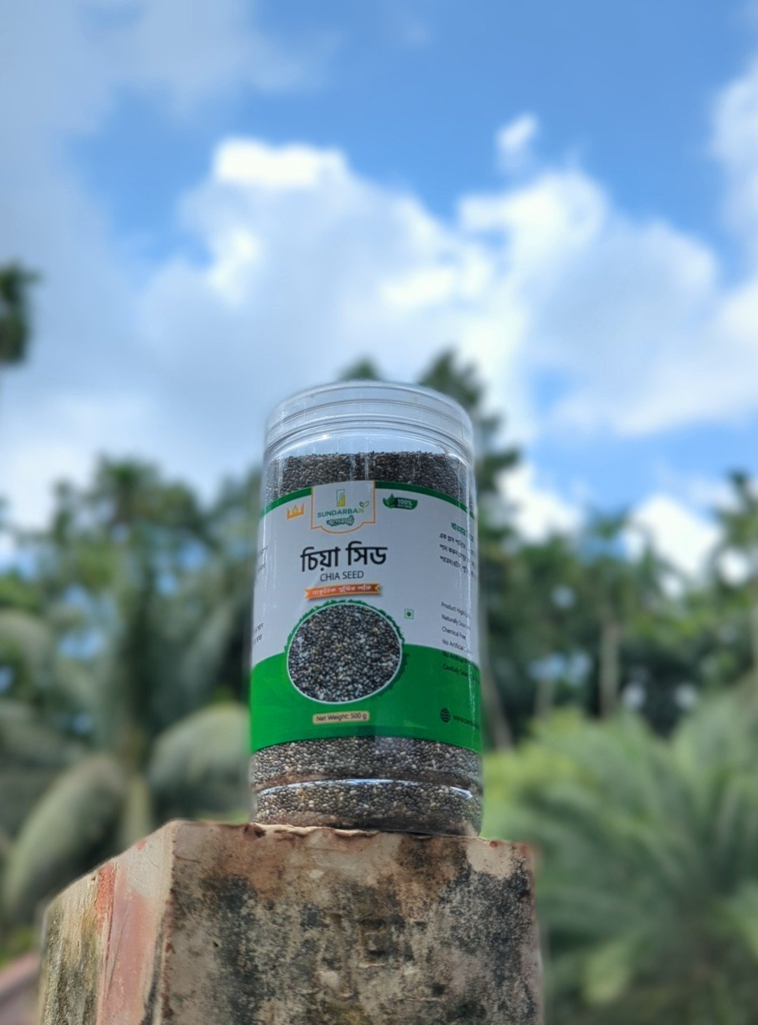 চিয়া সিড Chia seed - Image 4