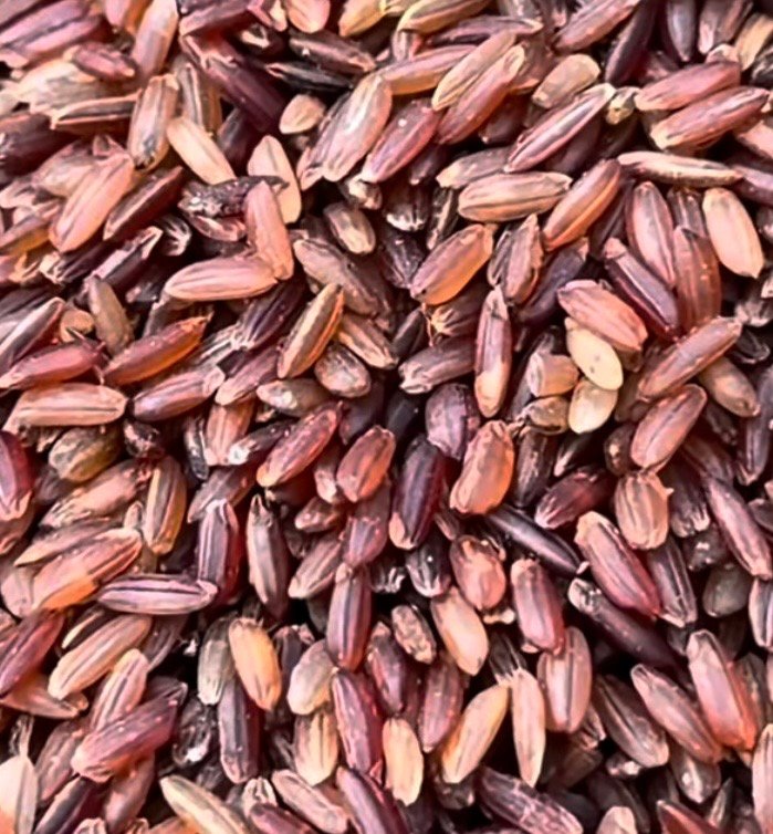 লাল চাল - Image 2